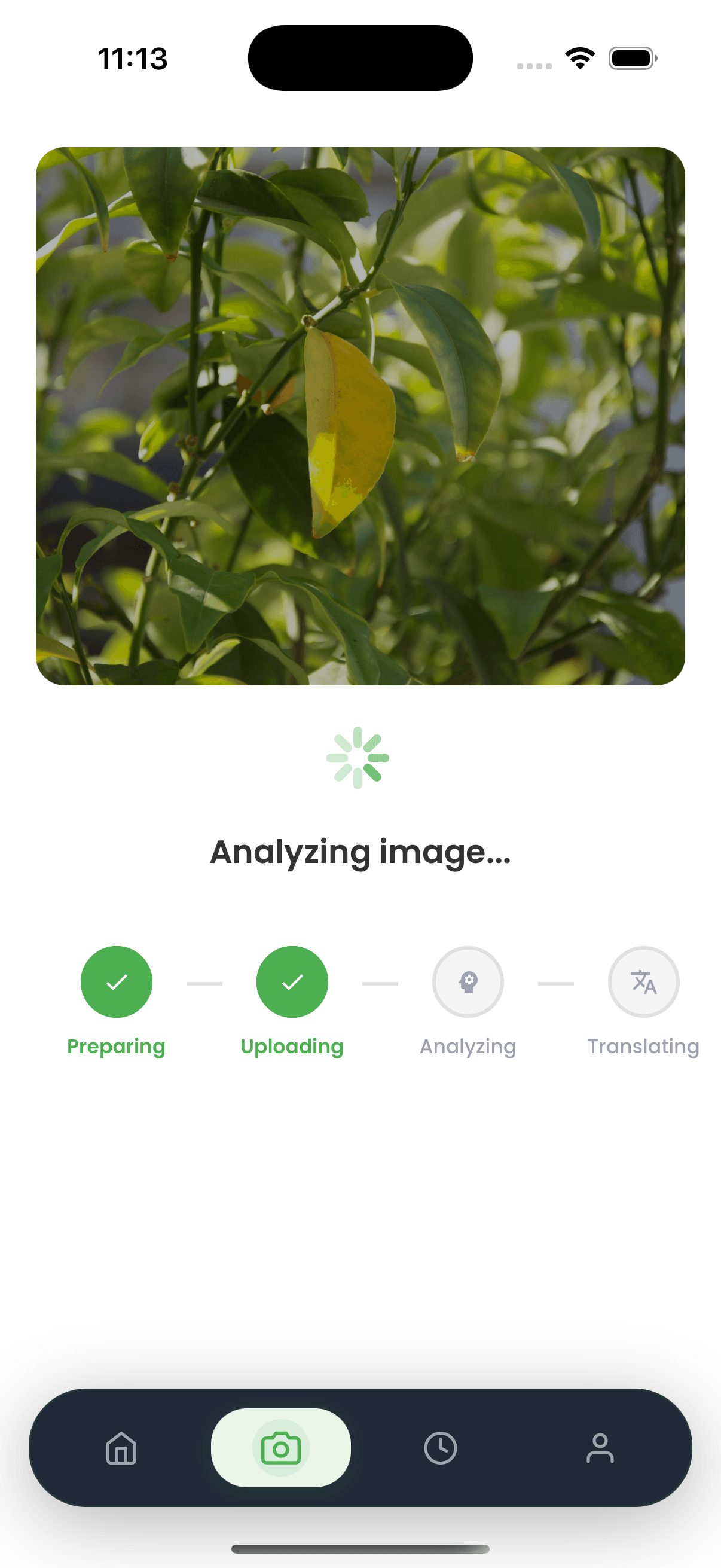 Disease Diagnosis Results