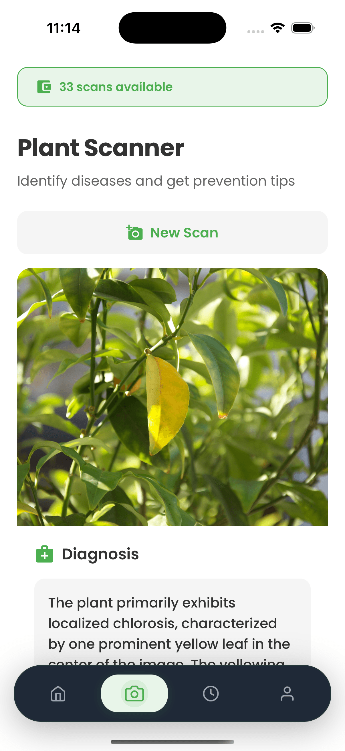 Plant Analysis in Progress